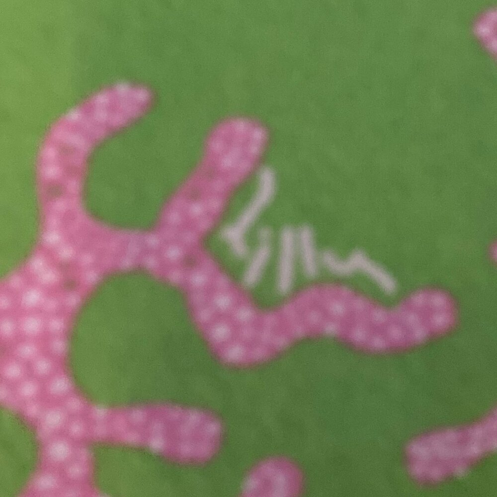 Classic Lilly Pulitzer Dress - Picture 3 of 13